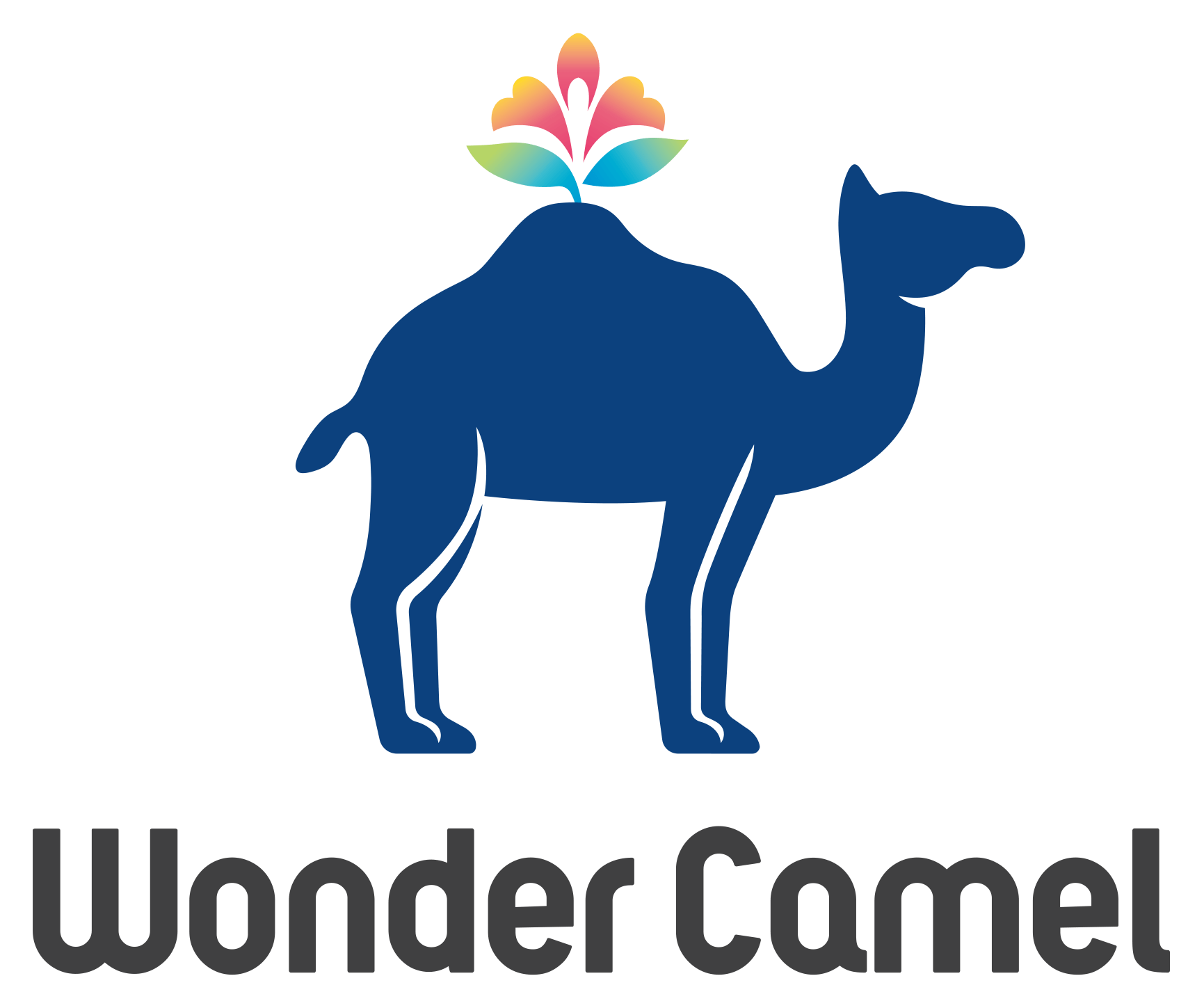 株式会社Wonder Camel